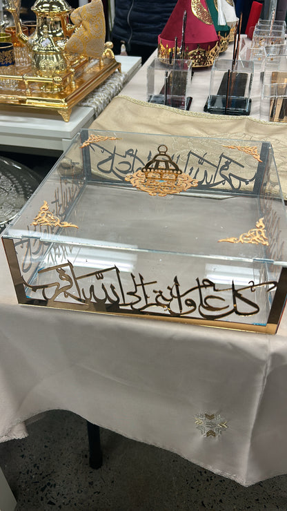 Large clear plexiglass boxes